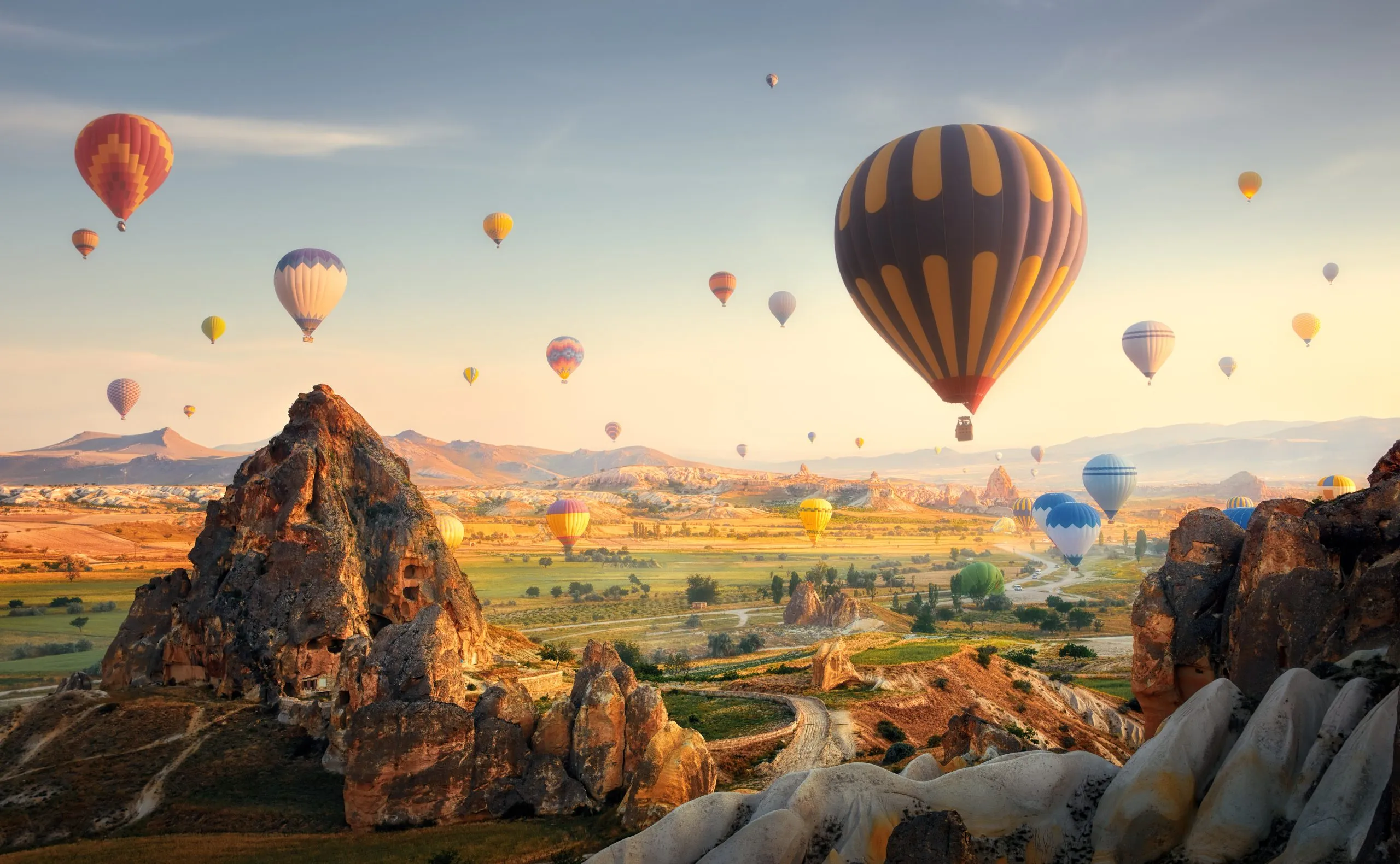 Featured Image