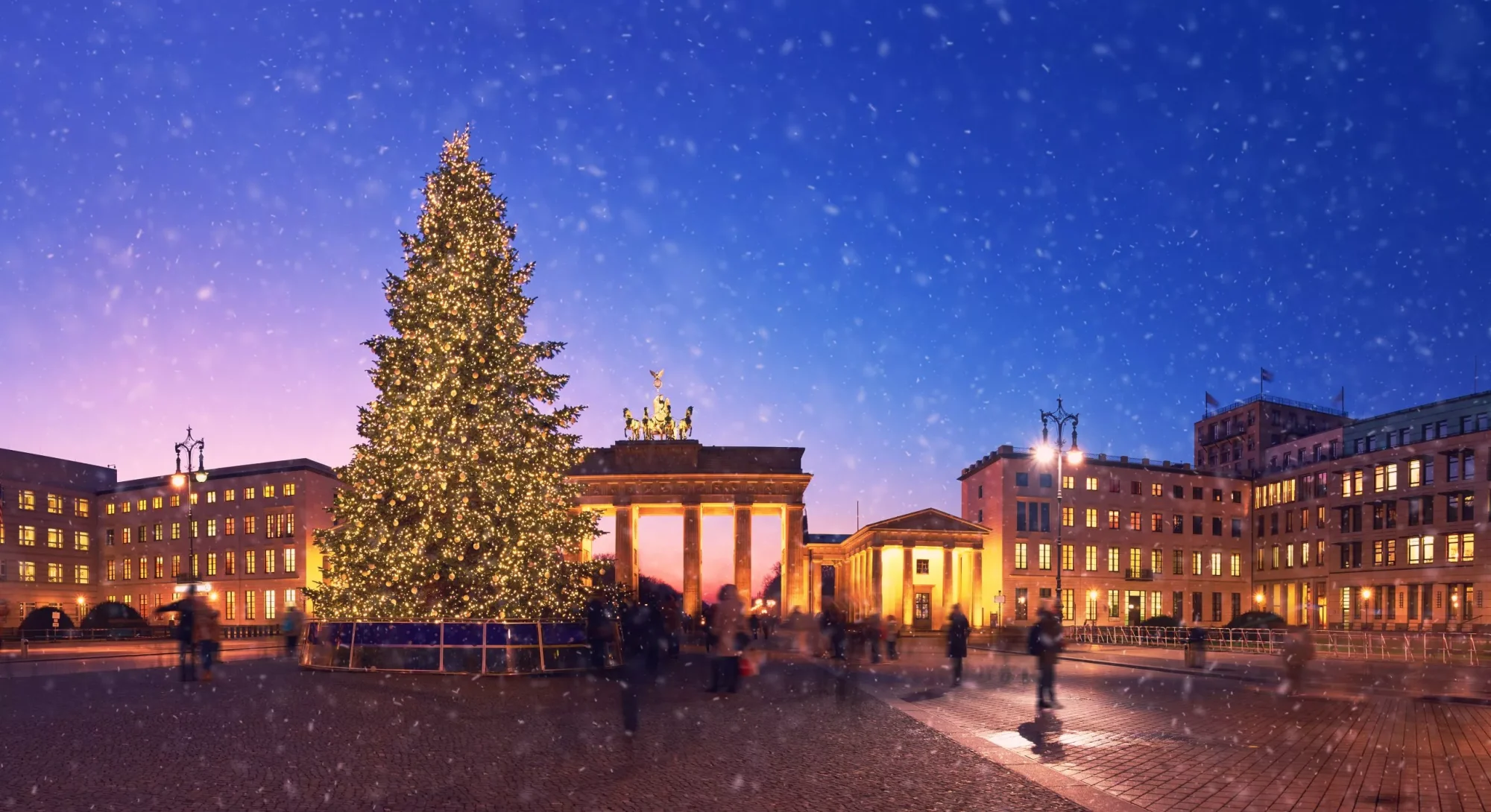 Berlin tree scaled