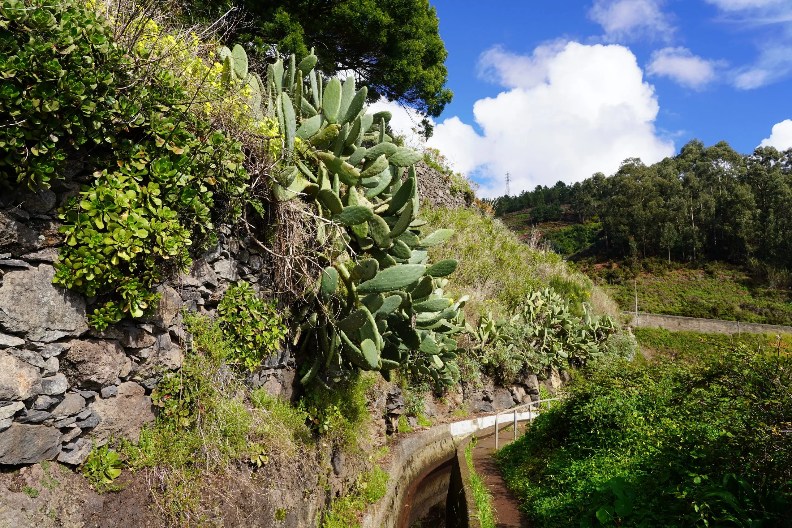 Die Levada do Norte bei Estreito de Câmara de Lobos auf Madeira