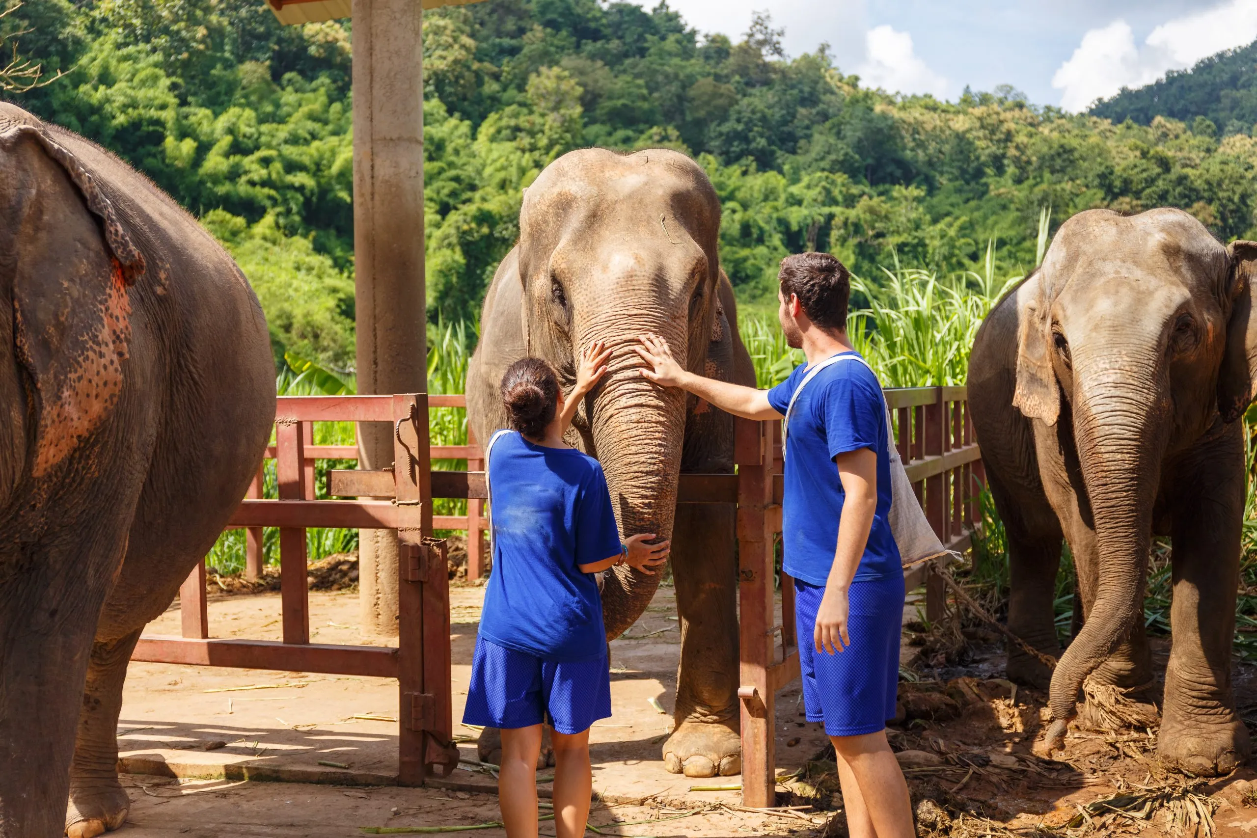 A boy and a girl caress an elephant at sanctuary in Chiang Mai Thailand