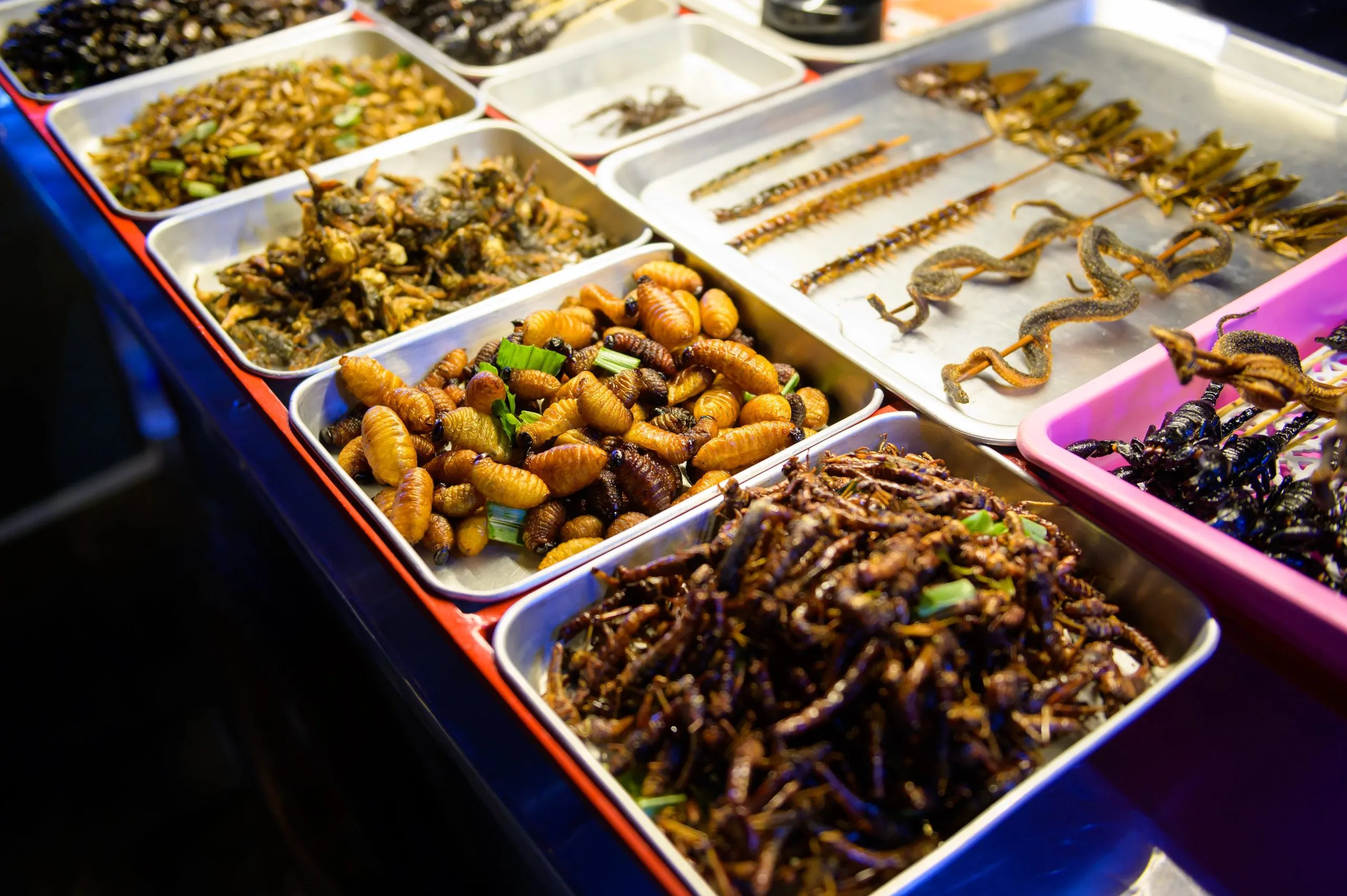 Exotic food in Khao San road at night in Bangkok city, Thailand, Holidays and traveling concept