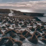 Icelandic landscape. Grimsey.