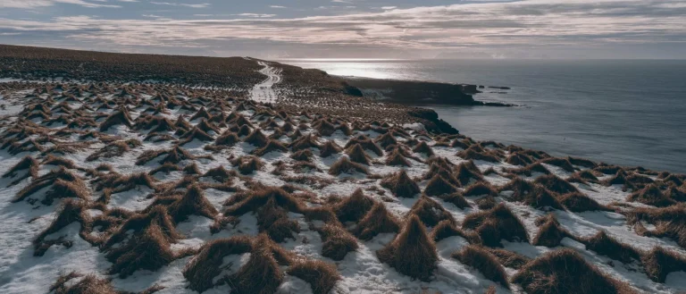 Icelandic landscape. Grimsey.