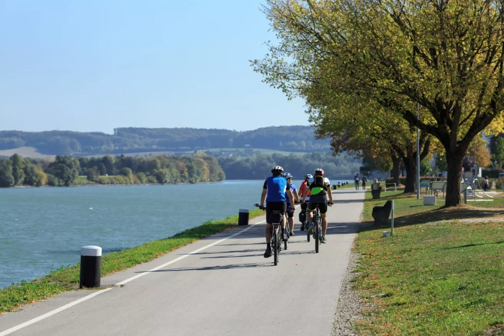 Group of people riding bicycles along the Danube river on the famous cycling route Donauradweg. Town of Ybbs an der Donau, Lower Austria, Europe.