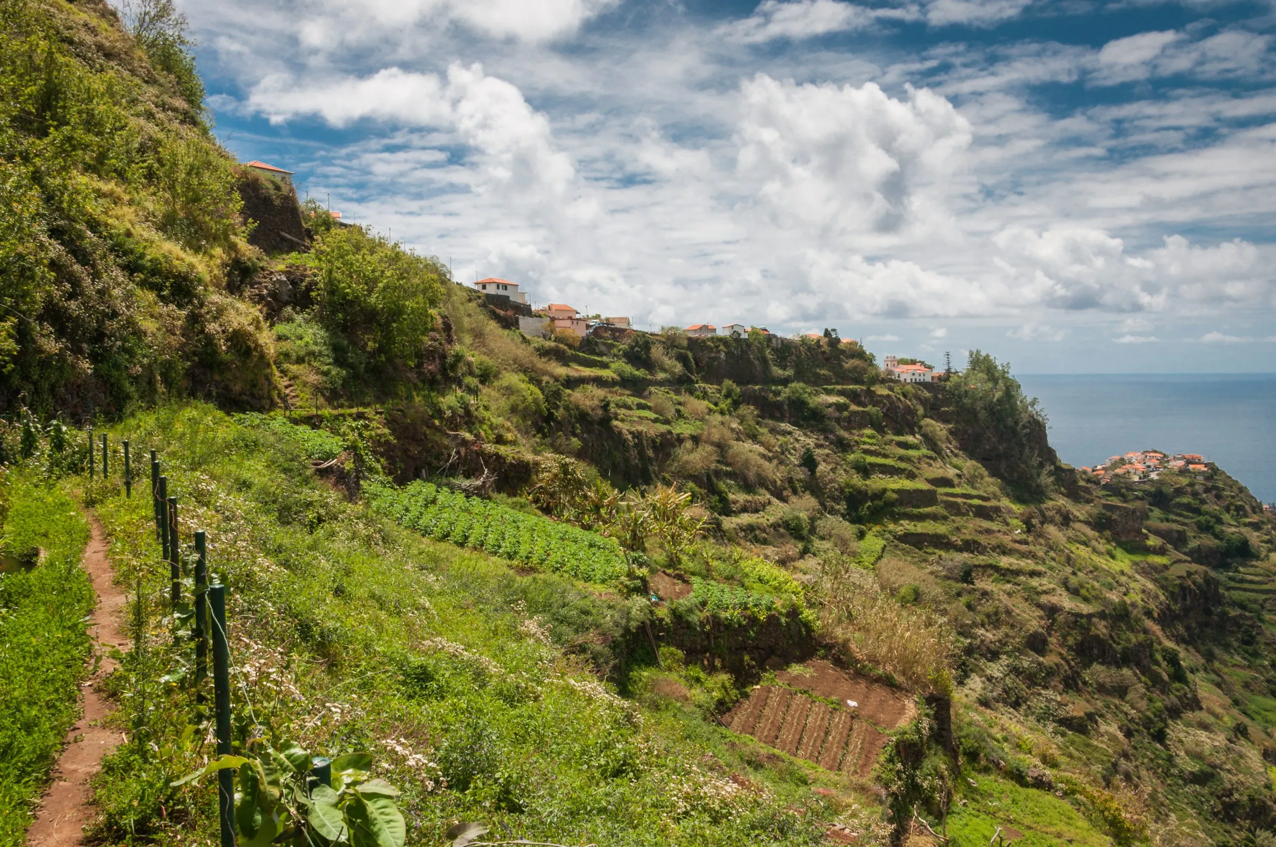 Levada im Tal der Ribeira da Ponta do Sol; Madeira; Portugal