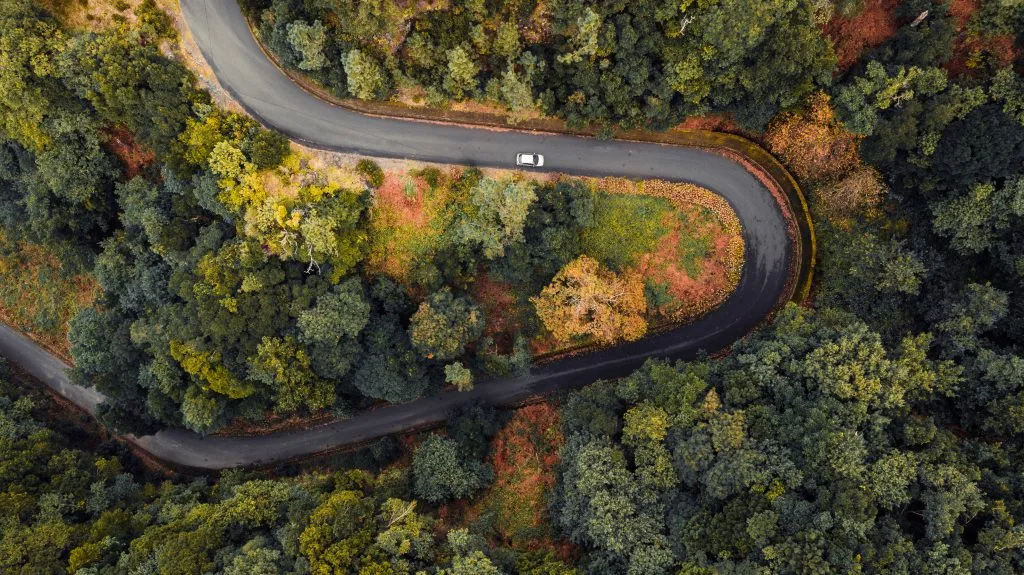 Aerial view of car driving through the forest on country road. "Chao da Ribeira", Madeira island, Portugal