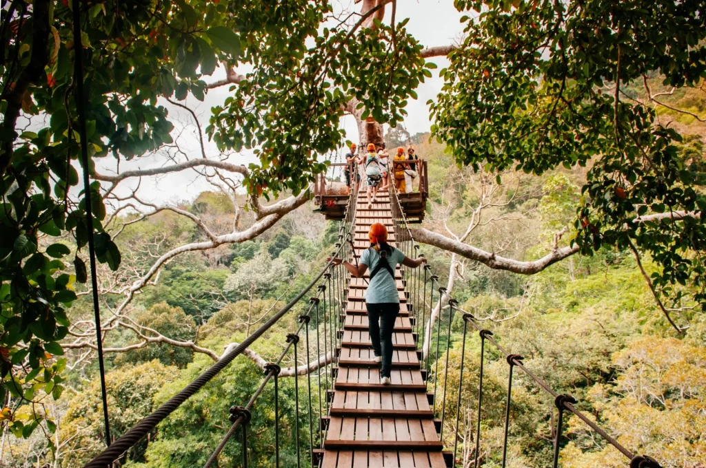 Tourist on zip line elevated wooden bridge over tropical forest canopy in Phuket, Thailand