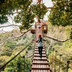 Tourist on zip line elevated wooden bridge over tropical forest canopy in Phuket, Thailand