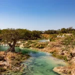 River Waterfall and pond in Wadi Darbat near Salalah
