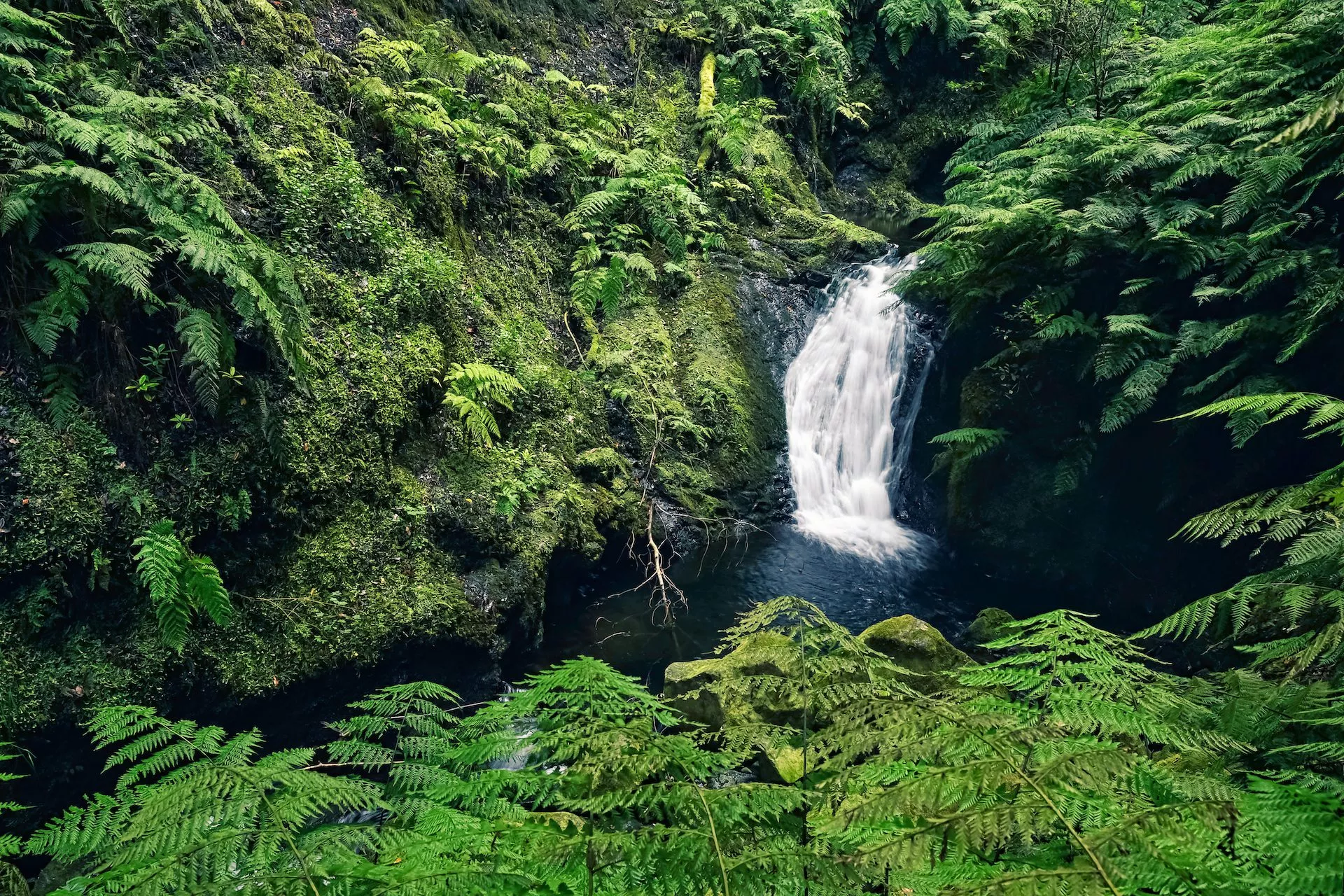 Small waterfall en route of levada do rei