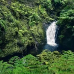 Small waterfall en route of levada do rei