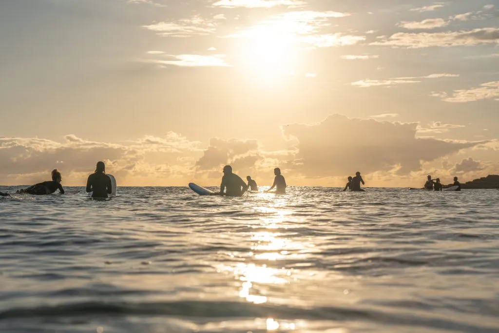 silhouette of a group of surfers floating in the ocean