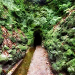 Tunnels on madeira